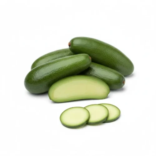Avokado (Baby) 500 GR - Tropik Bahçem