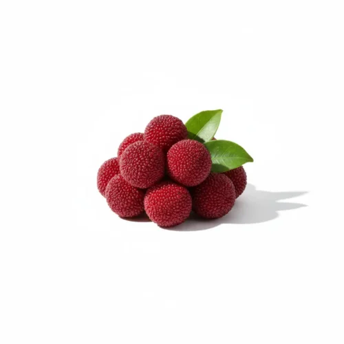 Dağ Çileği Taze 100 GR - Tropik Bahçem